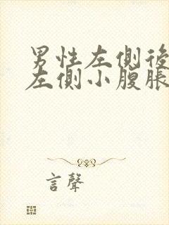 男性左侧后腰和左侧小腹胀痛