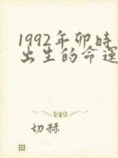 1992年卯时出生的命运