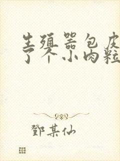 生殖器包皮上长了个小肉粒封面