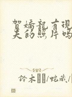 贺娇龙有现任丈夫的照片吗封面