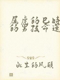 属虎的巳时出生的男孩命运怎么样