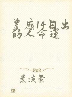 农历14日出生的人命运