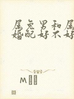 属兔男和属狗女婚配好不好