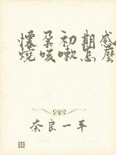 怀孕初期感冒发烧咳嗽怎么办