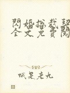 闪婚总裁契约妻全文免费阅读