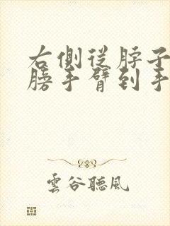 右侧从脖子到肩膀手臂到手指酸痛