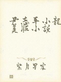 尹志平小龙女完美版小说封面