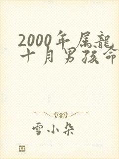 2000年属龙十月男孩命运