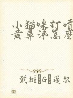 小猫咪打喷嚏流黄鼻涕怎么办