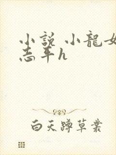 小说 小龙女尹志平h