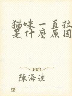 猫咪一直拉肚子是什么原因