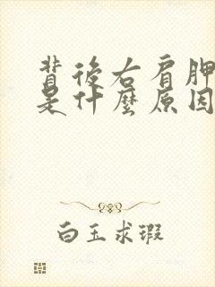 背后右肩胛骨疼是什么原因封面