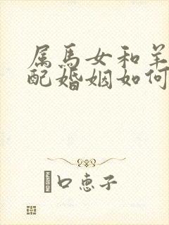 属马女和羊男相配婚姻如何封面