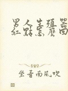 男人生殖器上有红点怎么回事封面