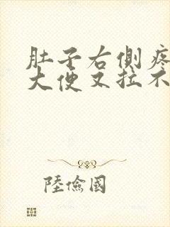 肚子右侧疼痛想大便又拉不出来