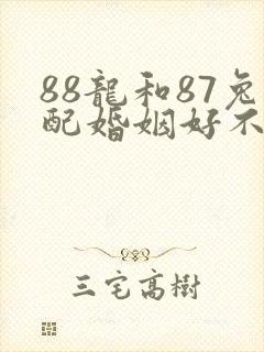 88龙和87兔配婚姻好不好