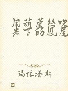 用葫芦丝吹奏月光下的凤尾竹封面