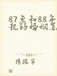 87兔和88年龙的婚姻怎么样