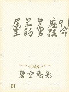 属羊农历9月出生的男孩命运