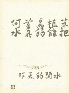 何首乌植萃洗发水真的能把白头发洗黑吗封面