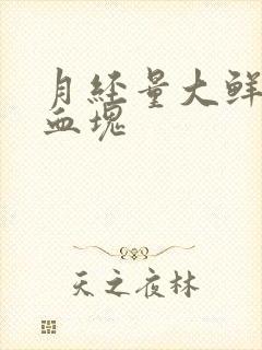 月经量大鲜红有血块