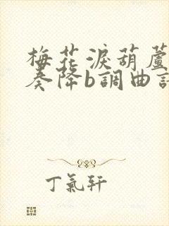 梅花泪葫芦丝独奏降b调曲谱封面