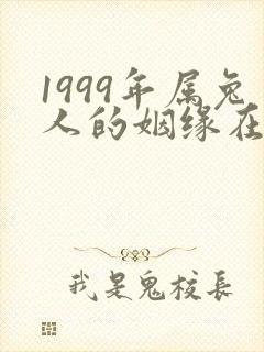 1999年属兔人的姻缘在哪年