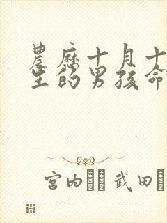 农历十月十五出生的男孩命运怎么样