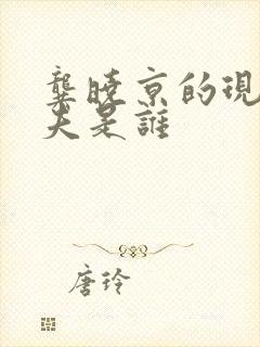 龚晓京的现任丈夫是谁封面