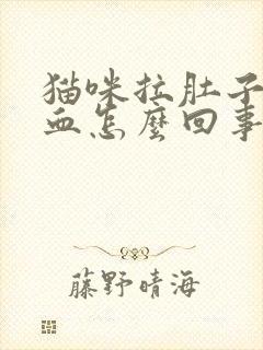 猫咪拉肚子带点血怎么回事