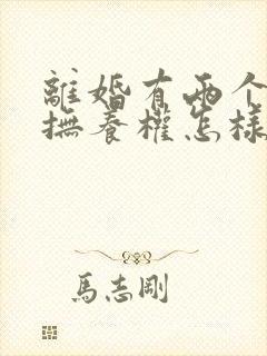 离婚有两个小孩抚养权怎样判定