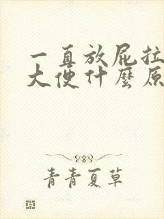 一直放屁拉不出大便什么原因