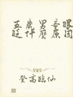 五岁男童眼睛老眨什么原因