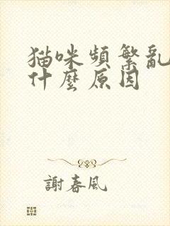 猫咪频繁乱尿是什么原因