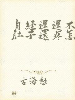 月经迟迟不来小肚子还疼怎么回事