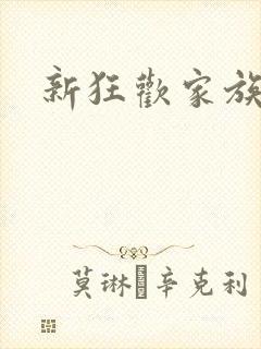 新狂欢家族小说