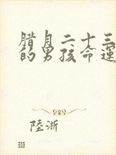 腊月二十三出生的男孩命运