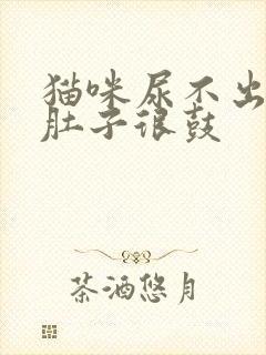 猫咪尿不出来 肚子很鼓