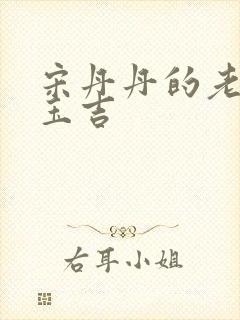 宋丹丹的老公赵玉吉封面