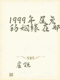 1999年属兔的姻缘在哪