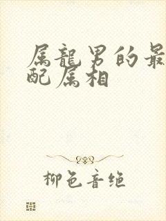 属龙男的最佳婚配属相