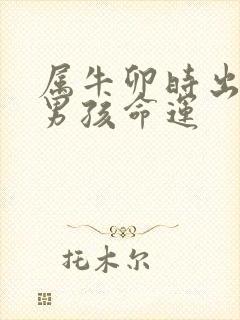 属牛卯时出生的男孩命运