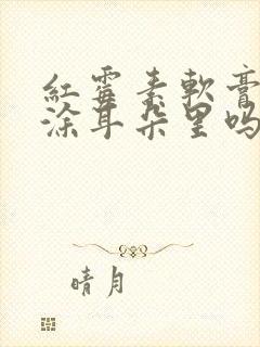 红霉素软膏可以涂耳朵里吗有点疼