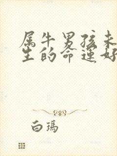 属牛男孩未时出生的命运好不好