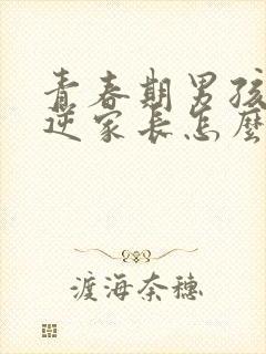 青春期男孩的叛逆家长怎么办