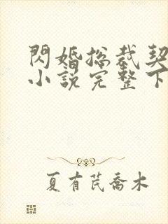 闪婚总裁契约妻小说完整下载