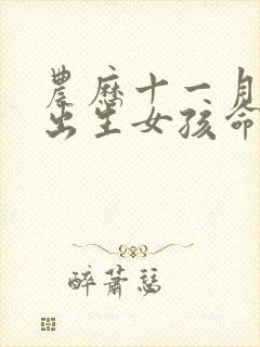 农历十一月十七出生女孩命运如何?