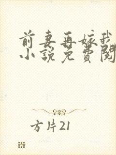 前妻再嫁我一次小说免费阅读