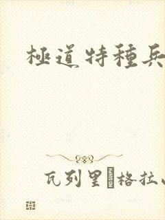 极道特种兵封面