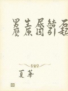 男生尿结石是什么原因引起的啊封面